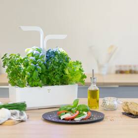Chytrý květináč Véritable CLASSIC bílý

 obrázek produktu 5 z 14