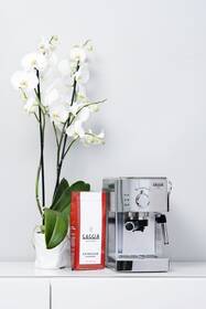 Espresso Gaggia Prestige nerez/ocel

 obrázek produktu 1 z 2