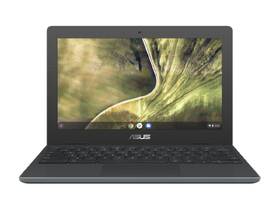 Notebook Asus Chromebook C204 šedý

 obrázek produktu 3 z 9