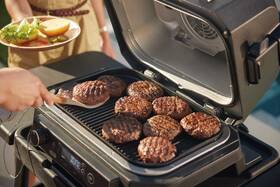 Gril Ninja OG850EU Woodfire Pro XL Electric Outdoor BBQ Grill & Smoker černý/šedý

 obrázek produktu 25 z 28