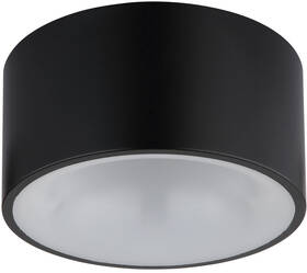 Stropní svítidlo GLOBO Raymond, 12 W černé

 obrázek produktu 2 z 5