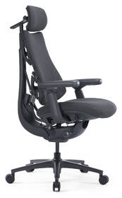 Ergonomická židle LiberNovo Omni Pro Graphite, 48cm grafitová

 obrázek produktu 5 z 17