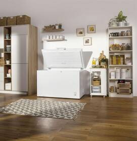 Mraznička Gorenje FH302CW FreezeProtect -15°C bílá

 obrázek produktu 16 z 16