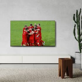 Televize Panasonic TX-65LX800E 

 obrázek produktu 9 z 11