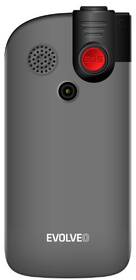 Mobilní telefon Evolveo EasyPhone FM stříbrný

 obrázek produktu 3 z 6