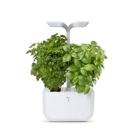 Chytrý květináč Véritable Exky SMART bílý

 obrázek produktu 2 z 11