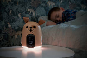 Budík Bigben RKIDSDOG béžový

 obrázek produktu 4 z 6