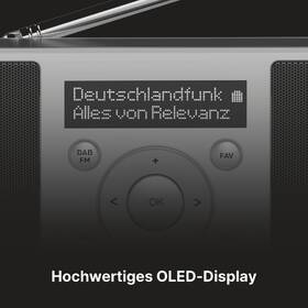 Radiopřijímač s DAB+ TechniSat DIGITRADIO 1 S černý/stříbrný

 obrázek produktu 6 z 9