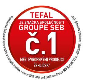 Žehlička Tefal FV2863E1 
