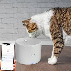 Chytrá fontánka Tellur TLL331471 Wi-Fi 2l bílá

 obrázek produktu 2 z 4