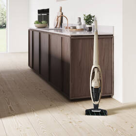 Tyčový vysavač Electrolux WQ71-P52SS 

