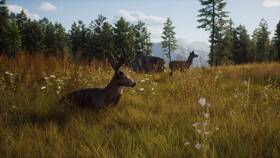 Hra THQ Nordic Xbox Series Way of the Hunter 

 obrázek produktu 5 z 11
