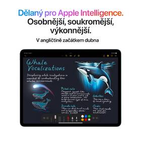 Dotykový tablet Apple Air 13" M3 Wi-Fi + Cellular 256GB - vesmírně šedý 
