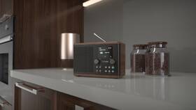 Radiopřijímač s DAB+ Pure Classic H4 černý/hnědý

 obrázek produktu 6 z 6