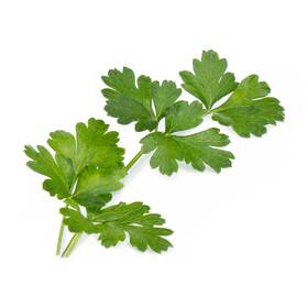 Semínka Véritable Lingot Italská petržel - BIO 

 obrázek produktu 1 z 1