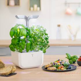 Chytrý květináč Véritable Exky SMART bílý

 obrázek produktu 7 z 11