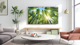Televize TCL 85P735 
