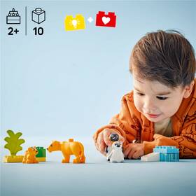 Stavebnice LEGO® DUPLO® 10442 Rodinky divokých zvířat: Tučňáci a lvi 

 obrázek produktu 5 z 9
