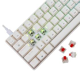Klávesnice White Shark SHINOBI 2, US layout, Red Switch bílá

 obrázek produktu 3 z 11