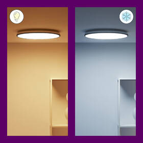 Stropní svítidlo WiZ Rune Ceiling 21 W RGB černé

 obrázek produktu 6 z 10
