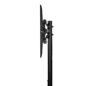 Stojan pro TV Hama Trolley, pojízdný, pro úhlopříčky 32"-70", nosnost 40 kg černý

 obrázek produktu 2 z 12