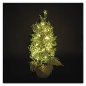 LED dekorace EMOS svítící stromek, 50 cm, 30LED, venkovní i vnitřní, teplá bílá, časovač 

 obrázek produktu 8 z 8