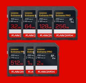Paměťová karta SANDISK 128GB UHS-I U3 (250R/120W) 

 obrázek produktu 1 z 2
