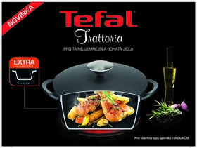 Hrnec s poklicí Tefal E2185334 

 obrázek produktu 7 z 9