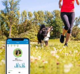GPS lokátor Tractive DOG 4 LTE – sledování polohy a aktivity pro psy bílý

 obrázek produktu 3 z 9
