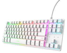 Klávesnice Trust GXT 833 Thado RGB, US layout bílá

 obrázek produktu 1 z 7