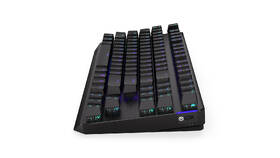 Klávesnice ENDORFY Thock TKL Wireless Red switche, CZ/SK layout, ARGB černá

 obrázek produktu 6 z 10