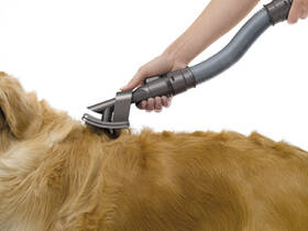Hubice Dyson DS-921000-01 

 obrázek produktu 1 z 9