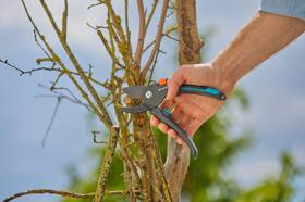 Nůžky zahradní Gardena PremiumCut 

 obrázek produktu 1 z 2