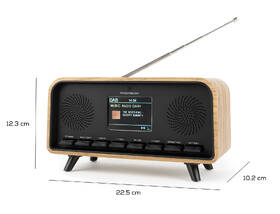 Radiopřijímač s DAB+ Thomson RT850DABBT černý/hnědý

 obrázek produktu 2 z 11