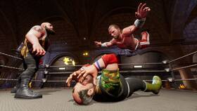 Hra Take 2 PlayStation 4 WWE Battlegrounds 

 obrázek produktu 1 z 6