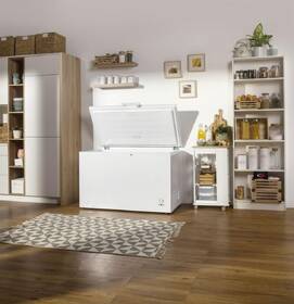 Mraznička Gorenje FH401CW FreezeProtect -15°C bílá

 obrázek produktu 16 z 16