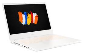 Notebook Acer ConceptD 3 (CN314-73G-753E) bílý

 obrázek produktu 4 z 9