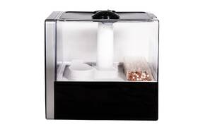 Zvlhčovač vzduchu Rohnson R-9510 Cool & Warm černý

 obrázek produktu 6 z 15