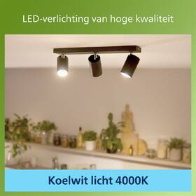 Žárovka LED Philips 50W, GU10, studená bílá 

 obrázek produktu 3 z 3