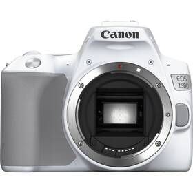 Digitální fotoaparát Canon 250D + 18-55 IS STM bílý

 obrázek produktu 5 z 7