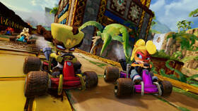 Hra Activision Crash Team Racing: Nitro Fueled 

 obrázek produktu 9 z 9