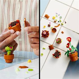 Stavebnice LEGO® Botanicals 10329 Miniaturní rostliny 

 obrázek produktu 3 z 8