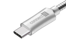 Kabel Connect IT Wirez Steel Knight USB/USB-C, ocelový, opletený, 1m stříbrný

 obrázek produktu 1 z 3