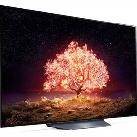 Televize LG OLED77B1 

 obrázek produktu 4 z 10