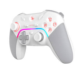 Gamepad A4Tech GPW70 bílý

 obrázek produktu 1 z 7