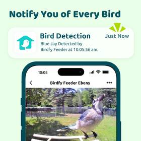 Ptačí krmítko Birdfy Ebony s kamerou (AI předplatné) 

 obrázek produktu 9 z 10