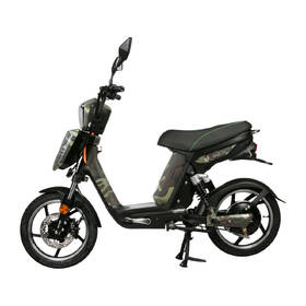 Elektroskútr RACCEWAY E-BABETA 12Ah maskáčový

 obrázek produktu 1 z 5