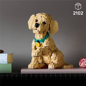 Stavebnice LEGO® Icons 11384 Štěně zlatého retrívra 

 obrázek produktu 5 z 9