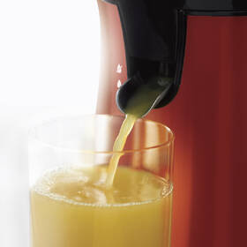 Lis na citrusy RUSSELL HOBBS 26010-56 červený

 obrázek produktu 3 z 10