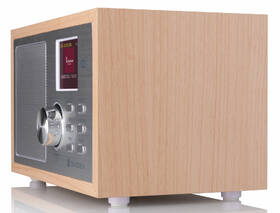 Radiopřijímač s DAB+ GoGEN DAB 620 BTCS stříbrná barva
